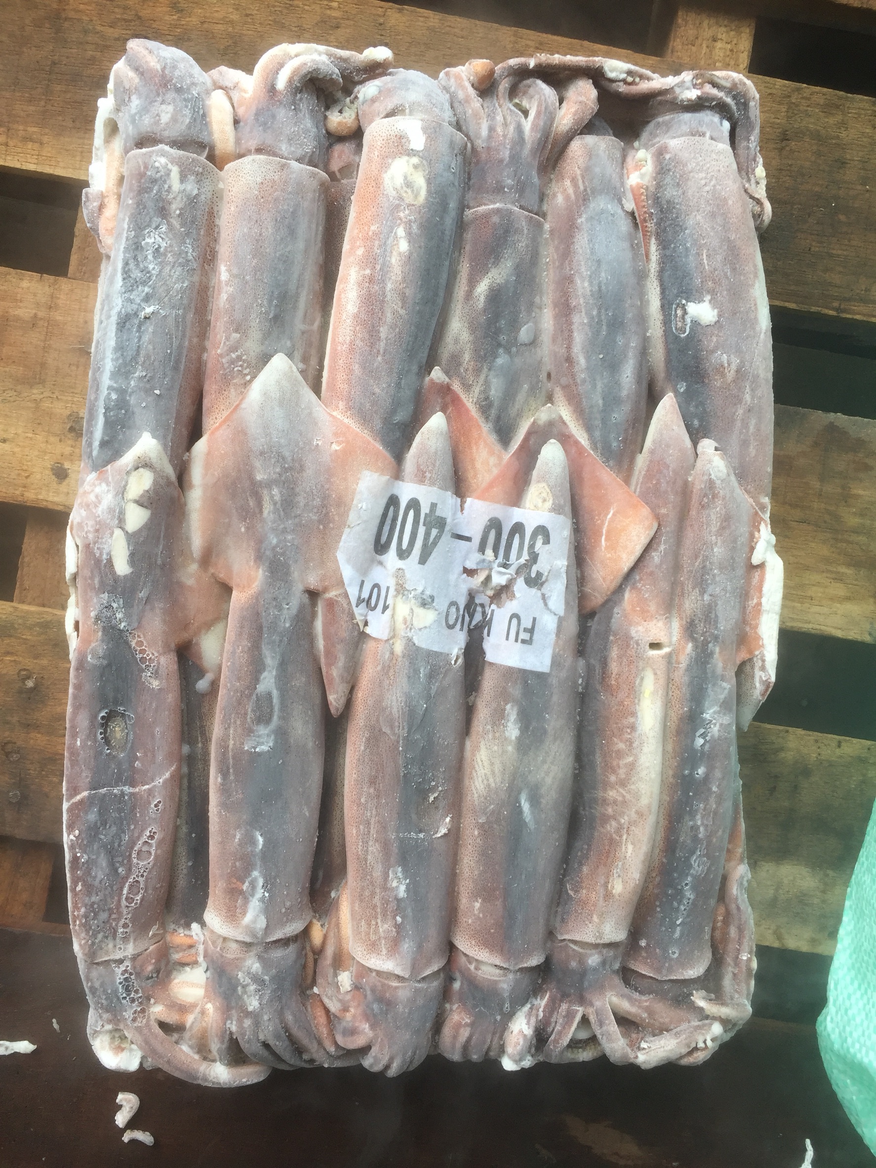 阿根廷魷魚 300/400